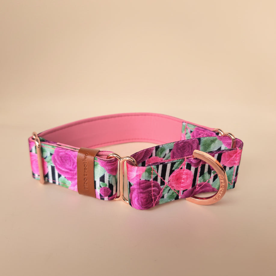 Rose Stripe Martingale Dog Collar – Floral Design with Soft Pink Padding