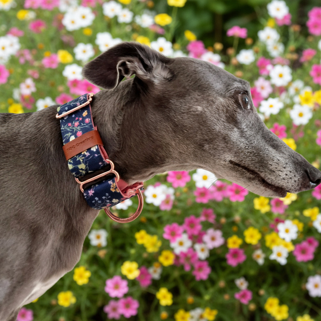 Dainty Floral Martingale Dog Collar – Padded