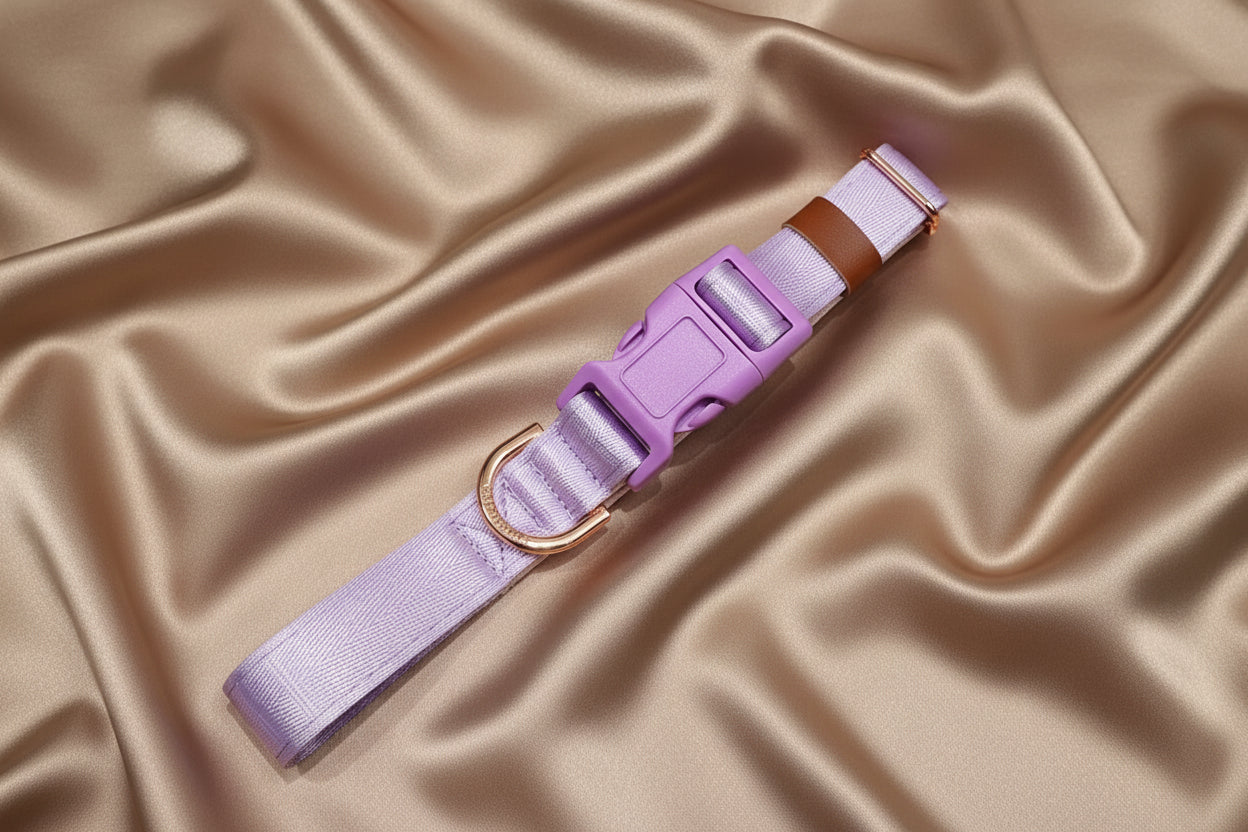 Light Purple Dog Collar with Neoprene Padding & Tactical Buckle – Optional personalised Name