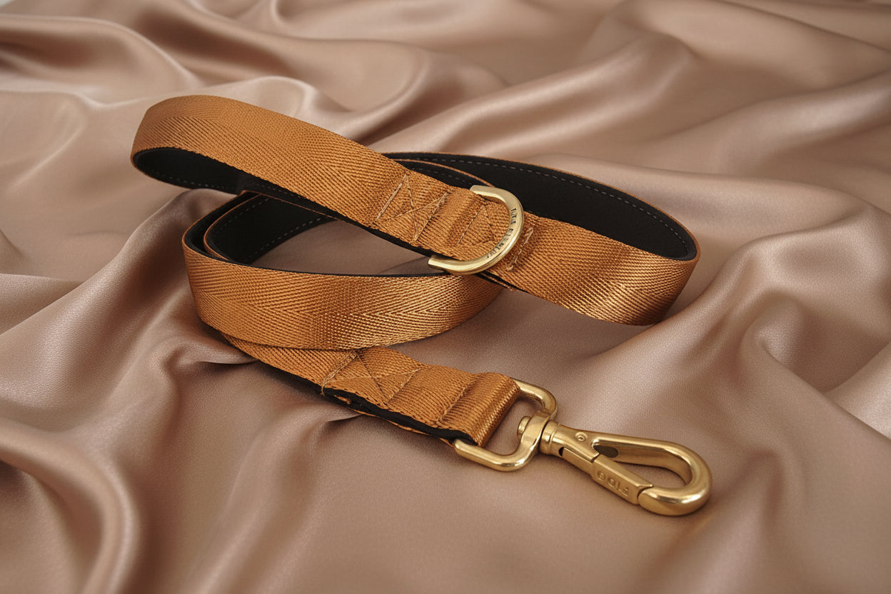 Brown dog leash with gold clip