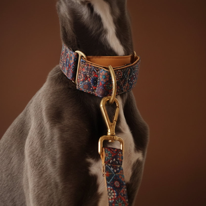Martingale Dog Collar – Mosaic Pattern, Soft Neoprene Padding, Adjustable Training Collar with Brass Hardware