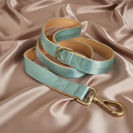 Sage leash with gold clip