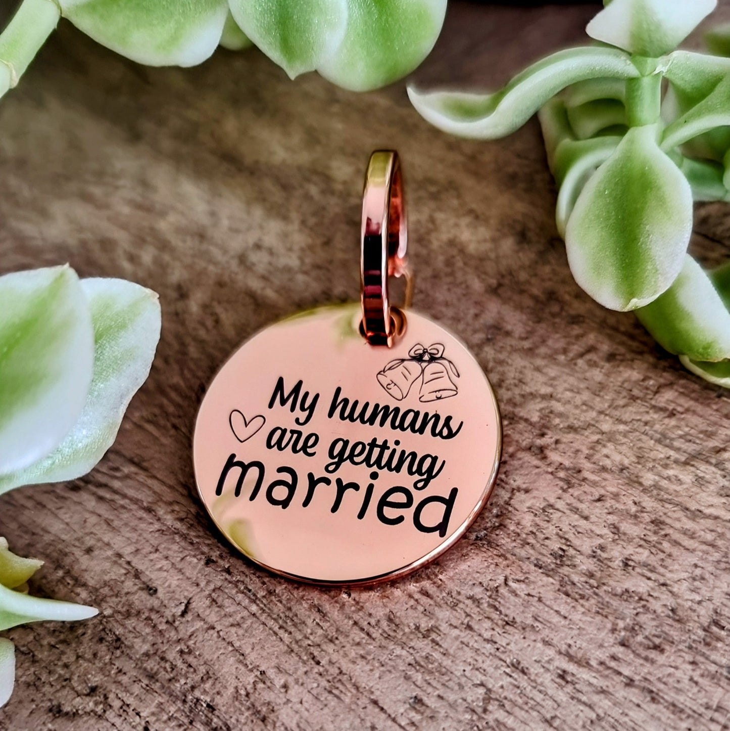 Wedding dog tag