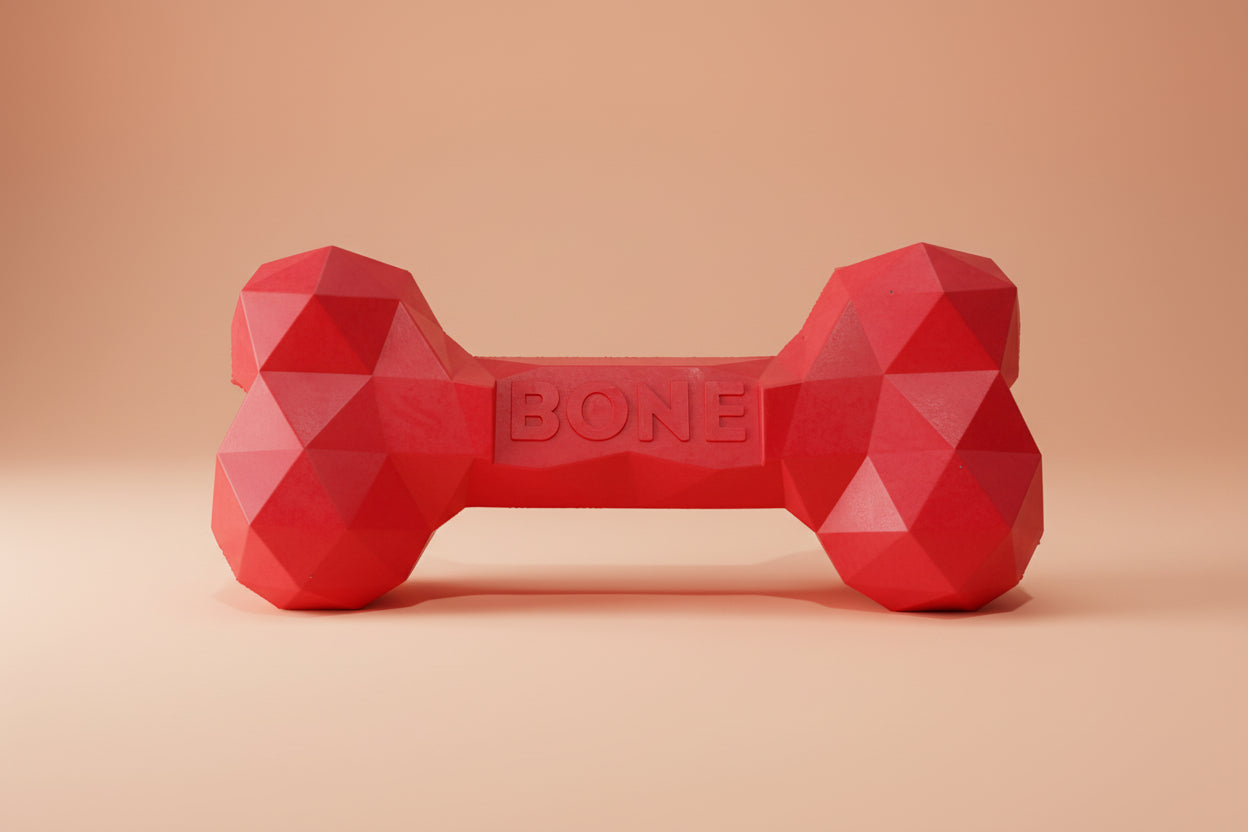 Rubber Dog Bone Toy – Durable Chew & Play Toy