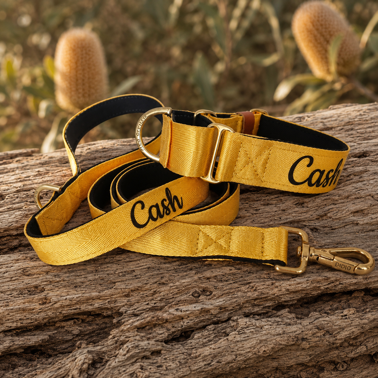 Yellow Martingale Dog Collar – Padded, personalised with Dog’s Name Optional
