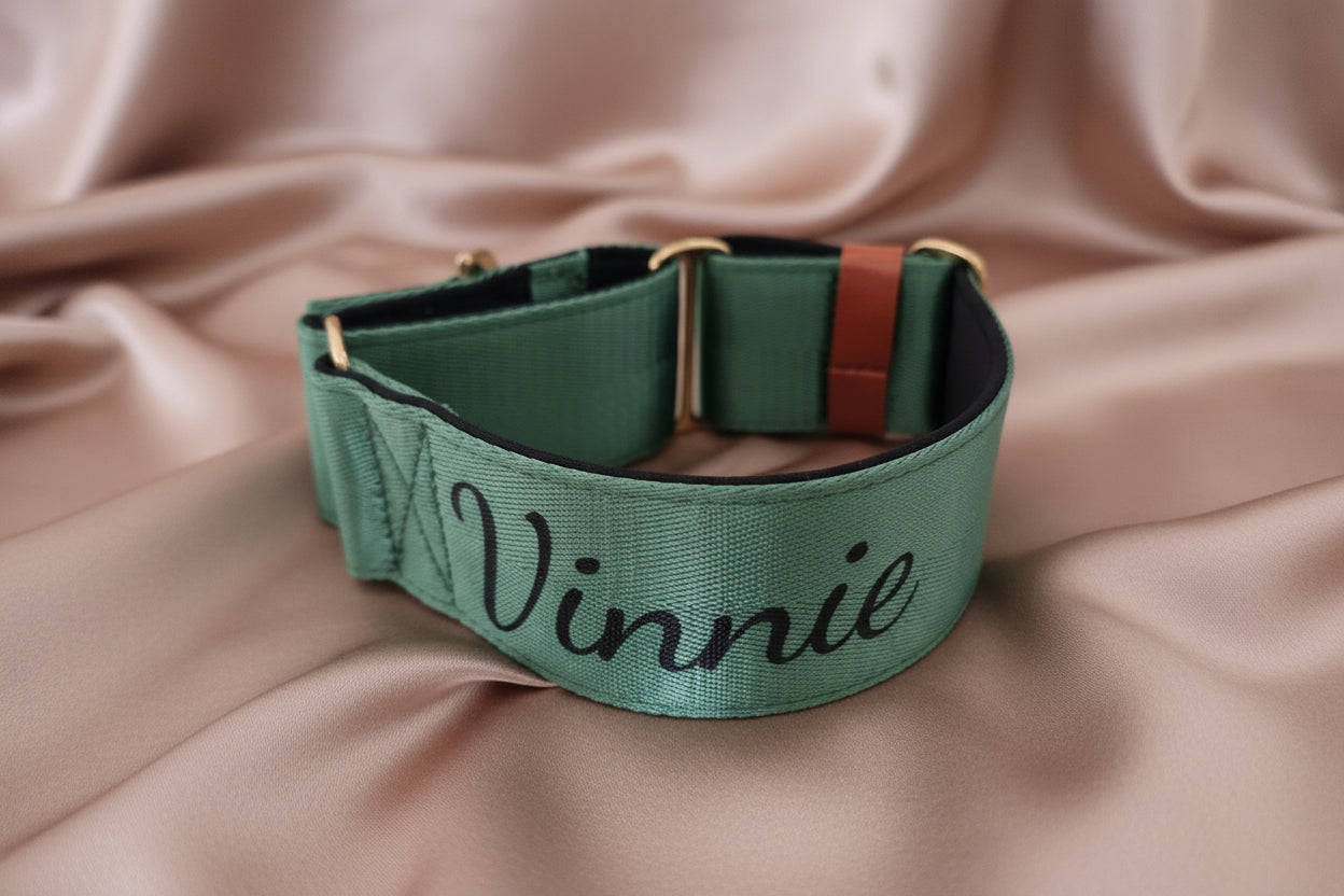 Green Martingale Collar - Padded Dog Collar With Soft Padding, Solid Brass Hardware and optional the option to personalise