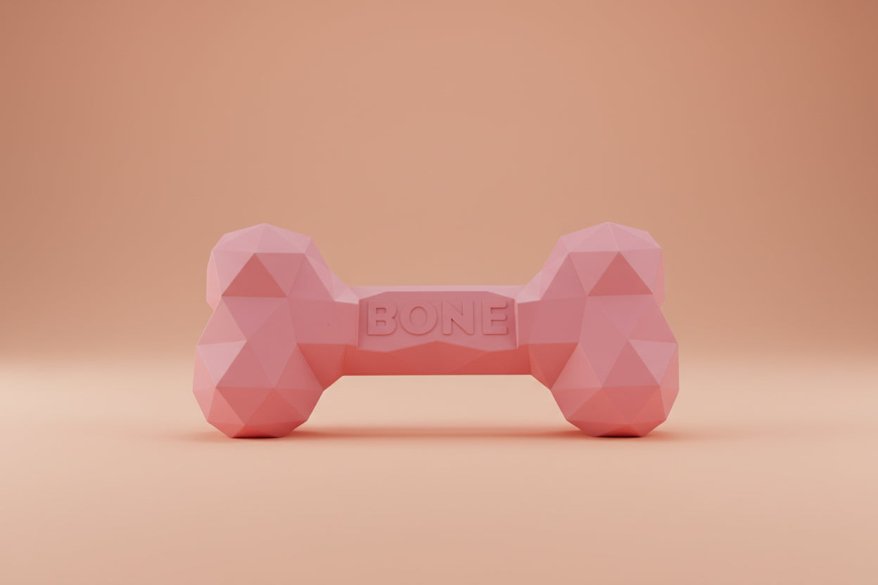 Rubber Dog Bone Toy – Durable Chew & Play Toy