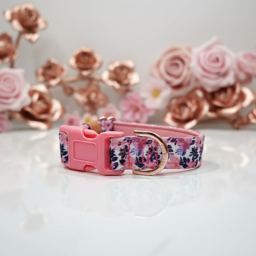 Floral Dog Collar with Neoprene Padding & Tactical Buckle – Optional personalised Name Plate