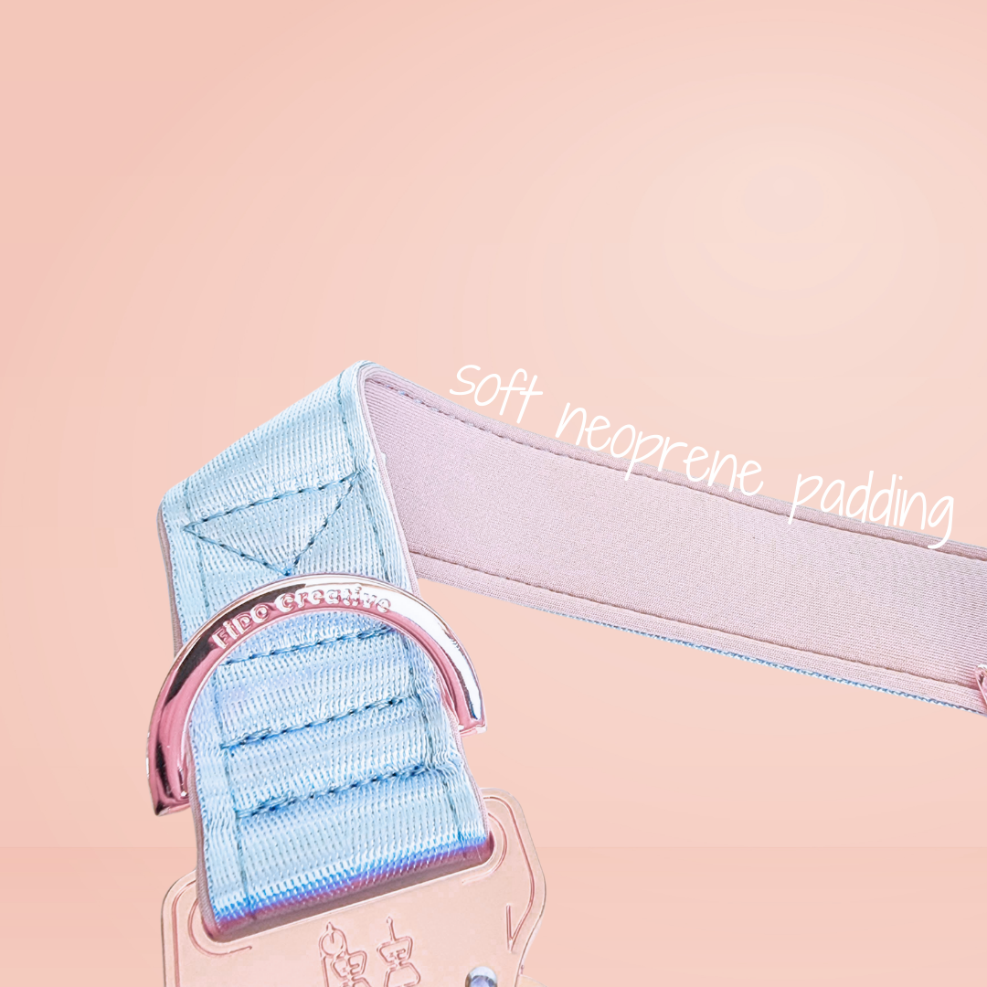 Blue and rose gold dog collar 