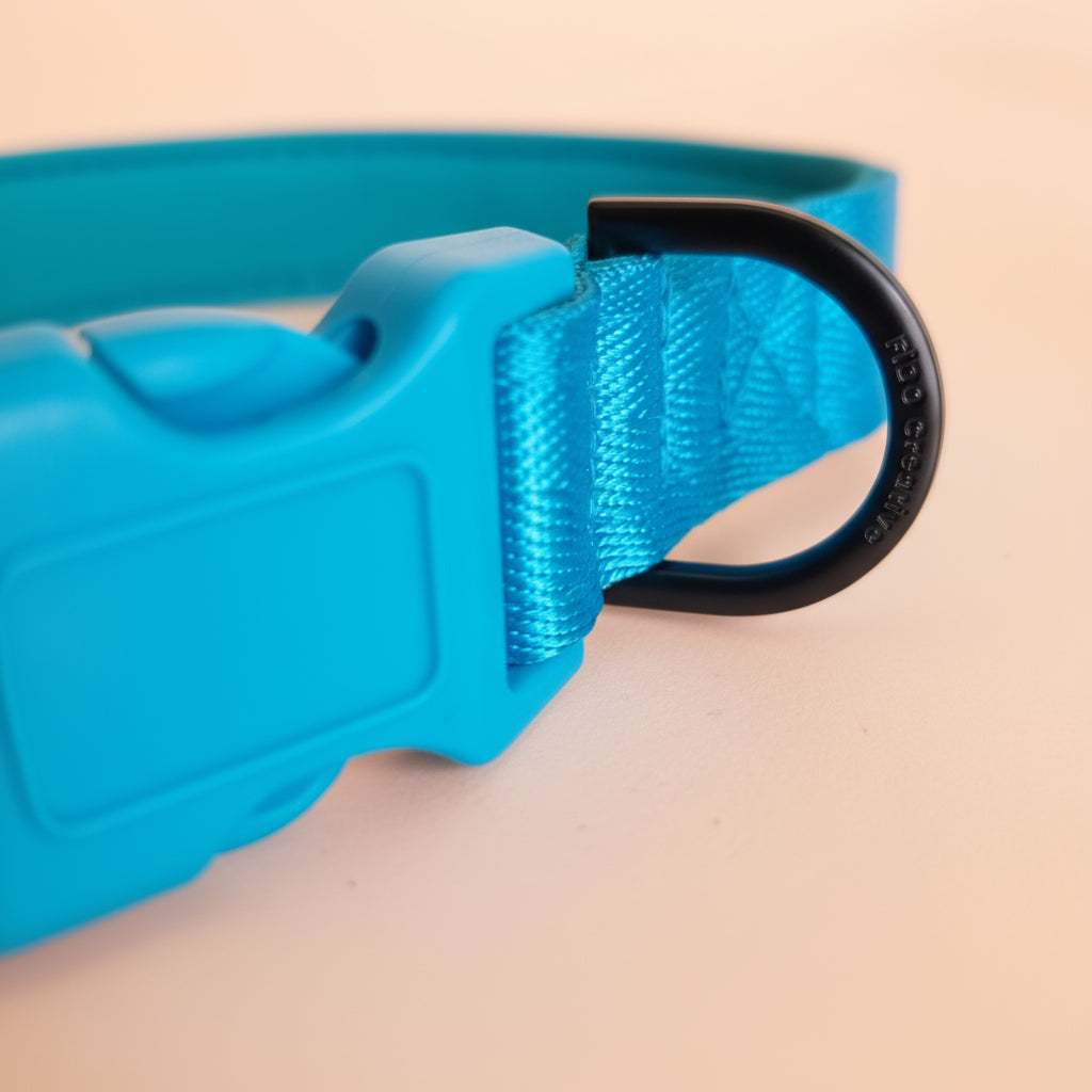 Bright Blue padded dog collar with buckle - Optional name dog collar