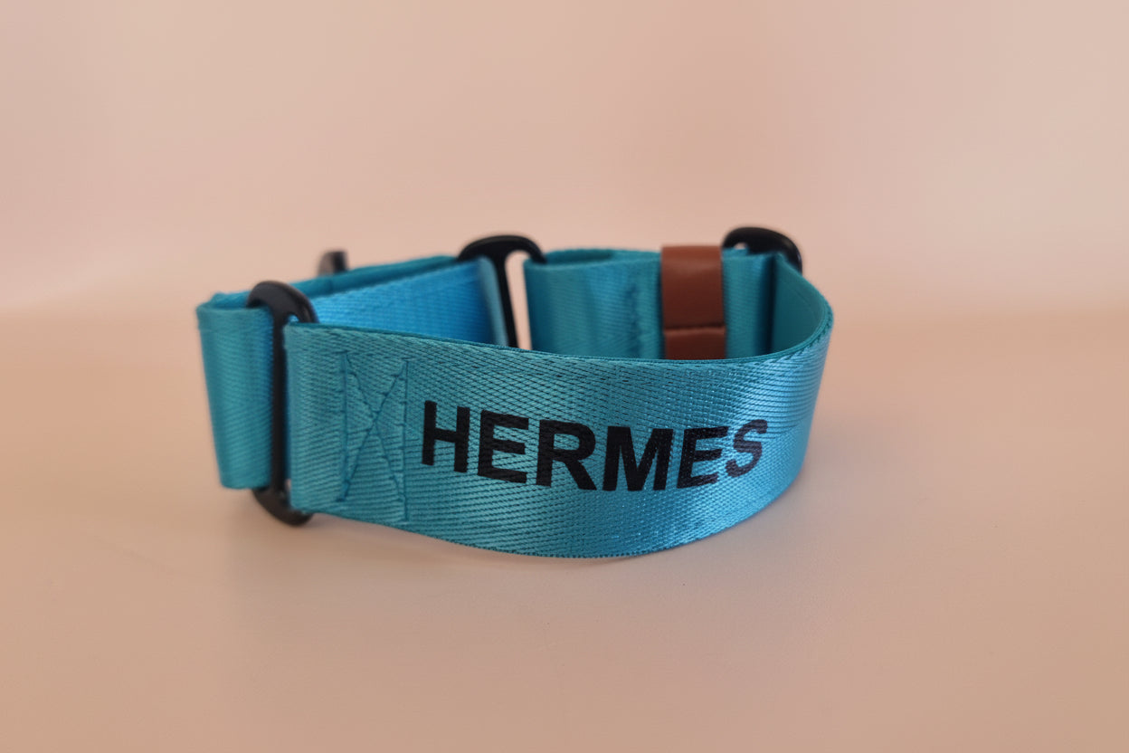 Bright blue Martingale Dog Collar – Padded, personalised with Dog’s Name Optional