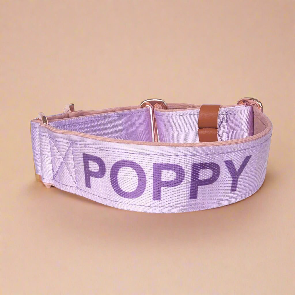 Purple dog collar with name