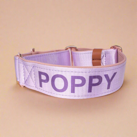 Purple dog collar with name