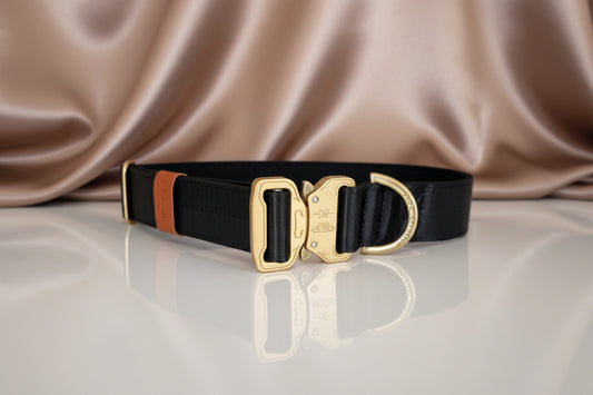 Black dog collar with gold buckle