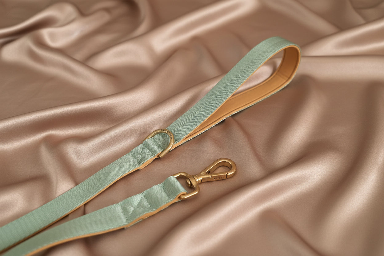 Sage Green Dog Leash - Neoprene Padded