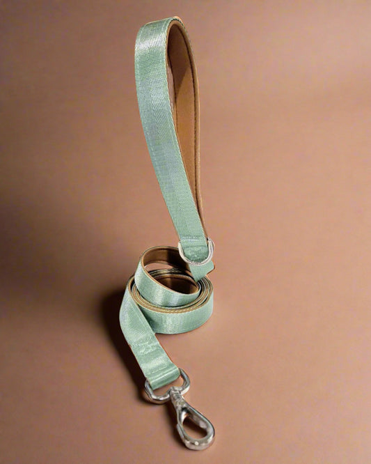 Sage green dog leash 