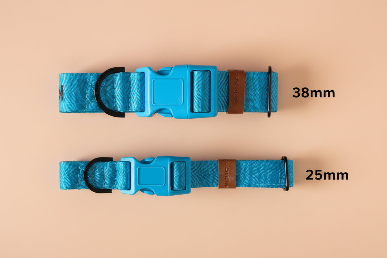 Two blue dog collars with measurement 